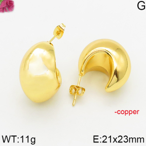 Fashion Copper Earrings  F5E200489abol-J163