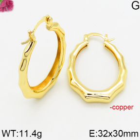 Fashion Copper Earrings  F5E200493vbnl-J163