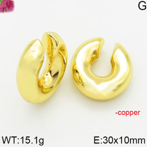 Fashion Copper Earrings  F5E200496abol-J163