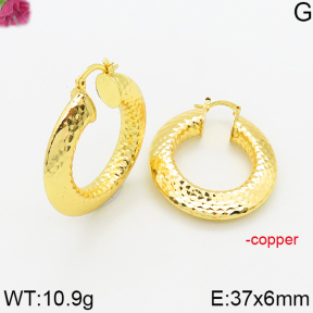 Fashion Copper Earrings  F5E200502abol-J163