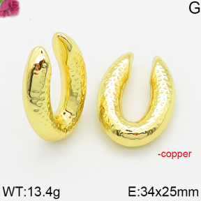Fashion Copper Earrings  F5E200506bbom-J163