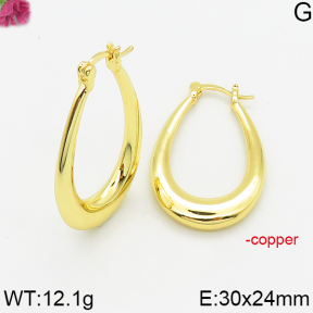 Fashion Copper Earrings  F5E200509vbnl-J163