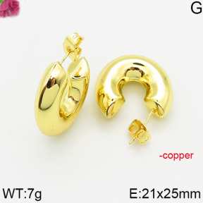Fashion Copper Earrings  F5E200513abol-J163
