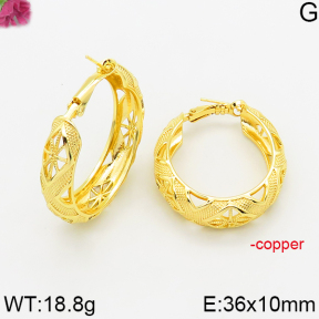 Fashion Copper Earrings  F5E200520bhva-J163