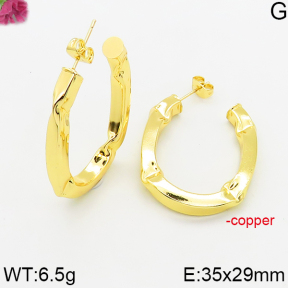 Fashion Copper Earrings  F5E200522bblo-J163