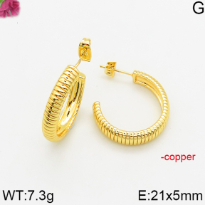 Fashion Copper Earrings  F5E200527bvlm-J163