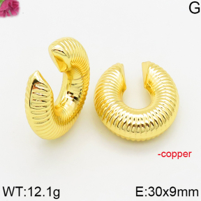 Fashion Copper Earrings  F5E200531abol-J163