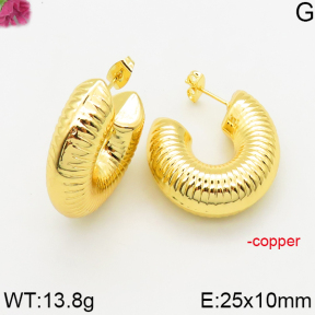Fashion Copper Earrings  F5E200532bbov-J163
