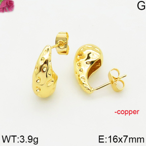 Fashion Copper Earrings  F5E200537vbll-J163