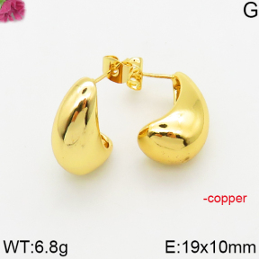 Fashion Copper Earrings  F5E200538vbll-J163