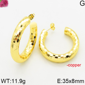 Fashion Copper Earrings  F5E200540abol-J163