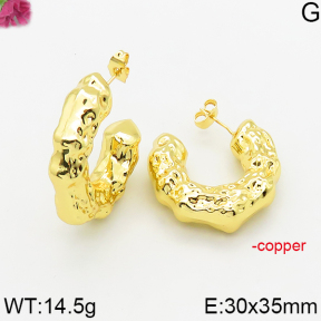Fashion Copper Earrings  F5E200541bhva-J163