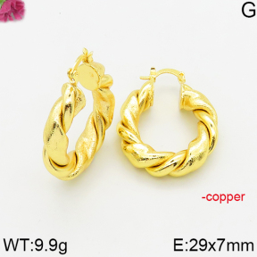 Fashion Copper Earrings  F5E200543bbmo-J163