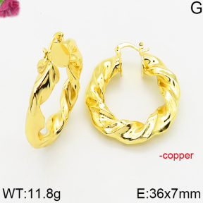 Fashion Copper Earrings  F5E200548vbnb-J163