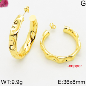 Fashion Copper Earrings  F5E200552bbml-J163