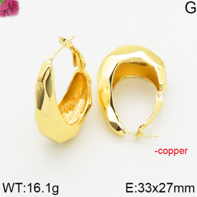 Fashion Copper Earrings  F5E200554bvpl-J163
