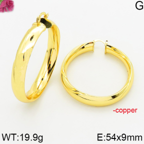 Fashion Copper Earrings  F5E200556vbnb-J163