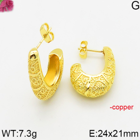 Fashion Copper Earrings  F5E200559vbmb-J163