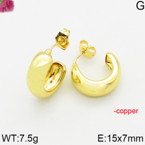 Fashion Copper Earrings  F5E200563vbmb-J163