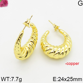 Fashion Copper Earrings  F5E200567vbpb-J163