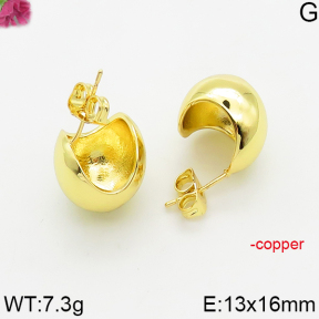 Fashion Copper Earrings  F5E200571vbmb-J163