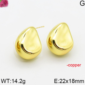 Fashion Copper Earrings  F5E200572bbml-J163