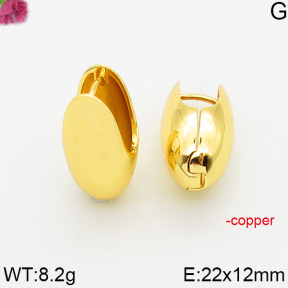 Fashion Copper Earrings  F5E200573vbnb-J163