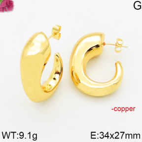 Fashion Copper Earrings  F5E200580bboo-J163