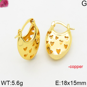 Fashion Copper Earrings  F5E200581bblo-J163