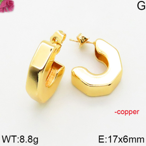 Fashion Copper Earrings  F5E200583vbmb-J163