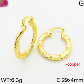 Fashion Copper Earrings  F5E200594bbov-J163