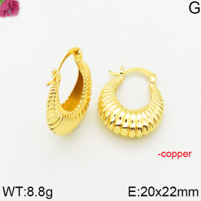 Fashion Copper Earrings  F5E200597vbmb-J163