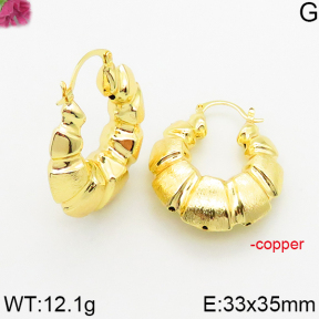 Fashion Copper Earrings  F5E200599bhva-J163
