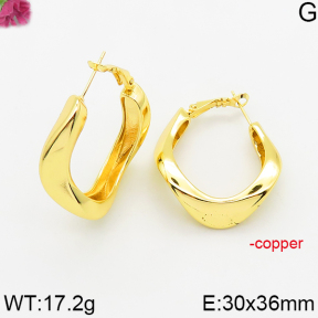 Fashion Copper Earrings  F5E200610bbov-J163