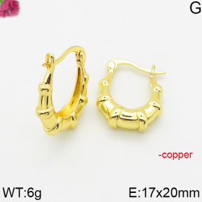 Fashion Copper Earrings  F5E200624vbll-J163