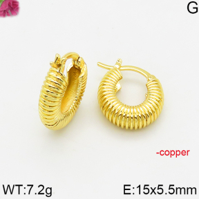 Fashion Copper Earrings  F5E200636bbmi-J163