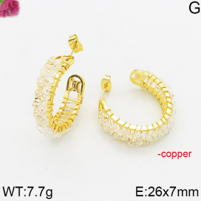 Fashion Copper Earrings  F5E200640bhia-J163