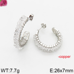 Fashion Copper Earrings  F5E200641bhia-J163