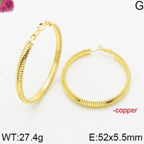 Fashion Copper Earrings  F5E200644bhva-J163