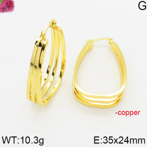 Fashion Copper Earrings  F5E200648bbni-J163