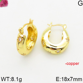 Fashion Copper Earrings  F5E401516bvpl-J163