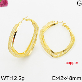 Fashion Copper Earrings  F5E401522bboi-J163