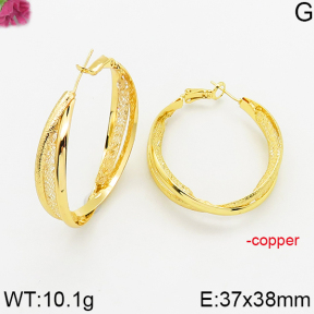 Fashion Copper Earrings  F5E401523bboi-J163