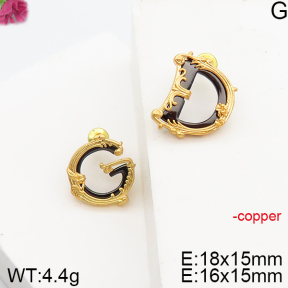 DG  Fashion Copper Earrings    PE0174053vila-J139