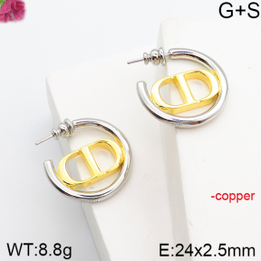 Dior  Fashion Copper Earrings    PE0174072vila-J139