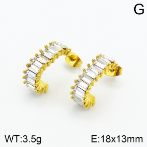 Stainless Steel Earrings  2E4002430vhha-434