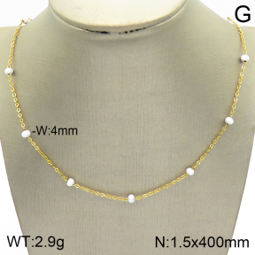Stainless Steel Necklace  2N3001279bbov-368