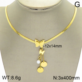 Stainless Steel Necklace  2N3001295bbml-395