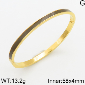 Stainless Steel Bangle  5BA300229vbnb-478