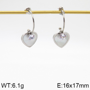 Stainless Steel Earrings  5E3001171avja-478